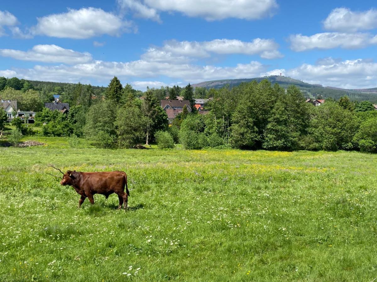 BERGLAGE - Das UrlaubZuhause Braunlage Exterior foto